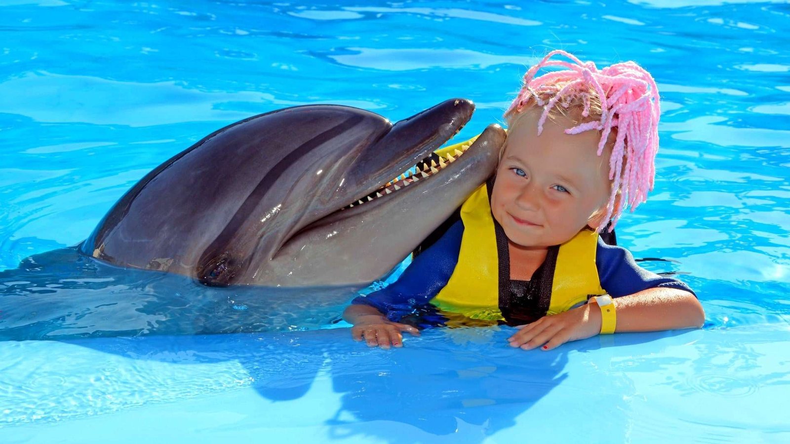 Dolphin Show w Hurghadzie