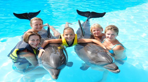 Dolphin Show w Hurghadzie